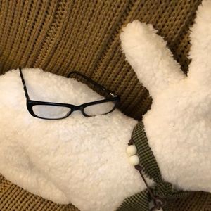 Cinzia eyeglass frames. Like new condition.